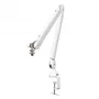 RODE  PSA1+ (White)