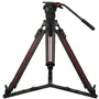 TS350CF IS
