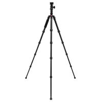 FT FT-36