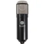 Universal Audio  Sphere L22