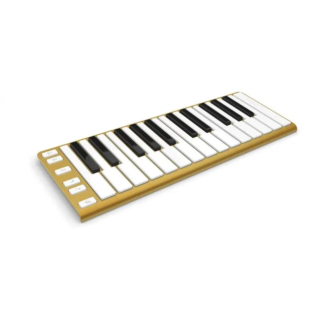   Xkey 25 Gold
