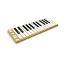   Xkey 25 Gold