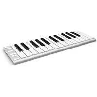   Xkey 25