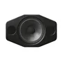   Silverback Black
