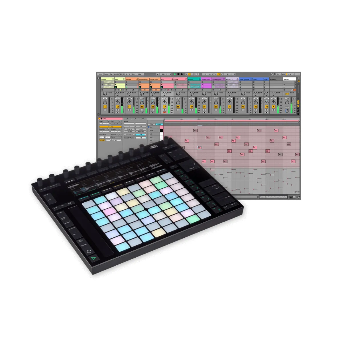   Push 2 + Live 11 Suite (el.licence)