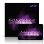   Audio Plug-in Activation Card, třída 1