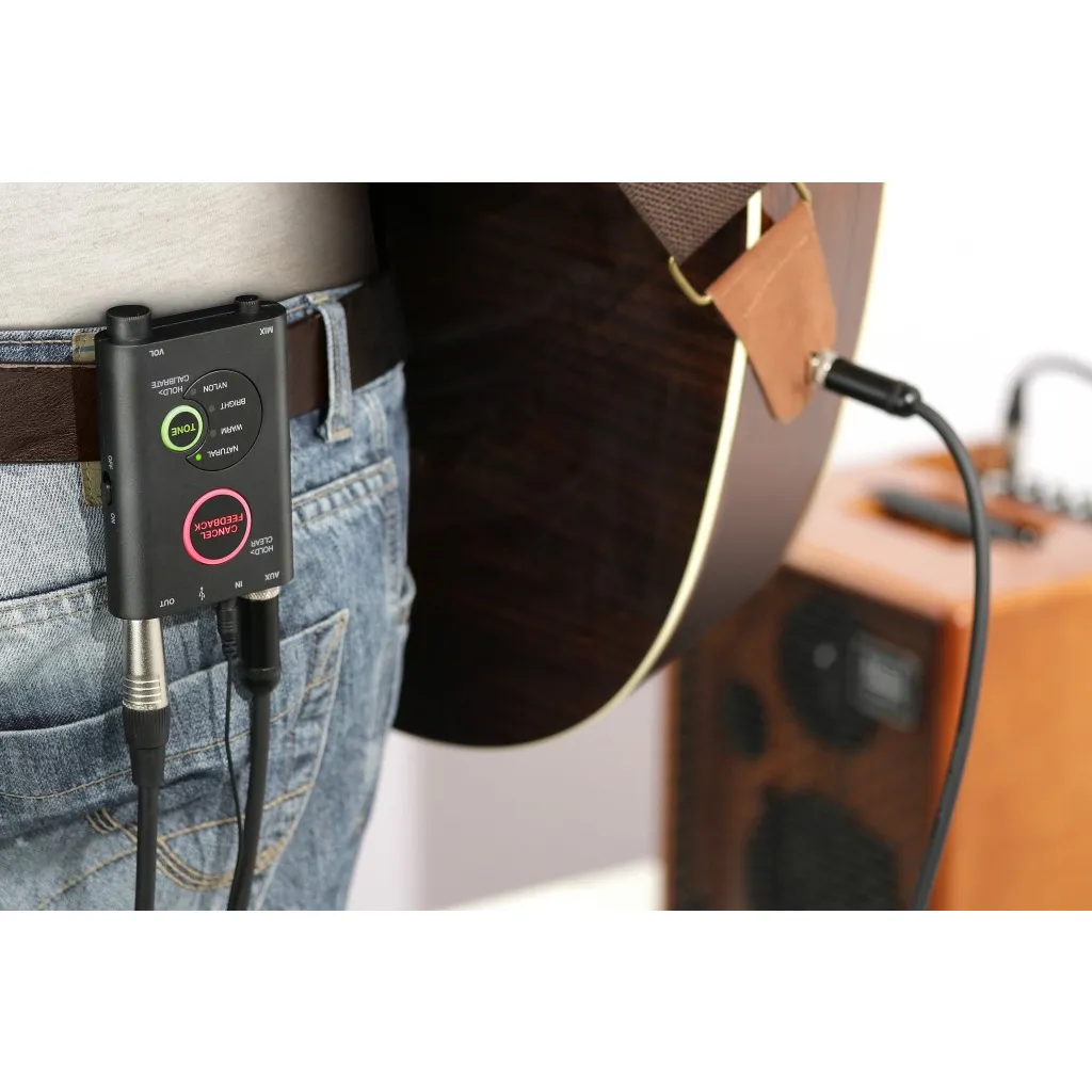   iRig Acoustic Stage