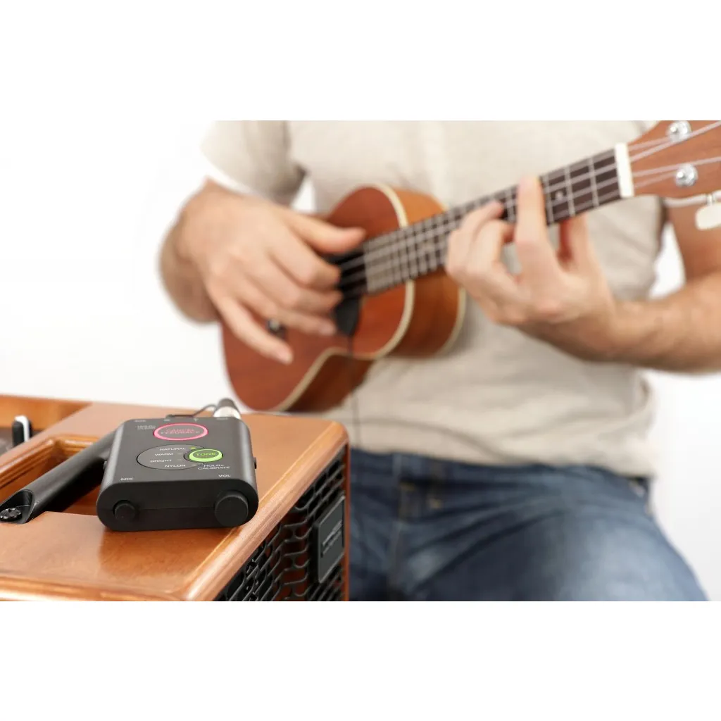   iRig Acoustic Stage