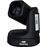BIRDDOG  MAX Black