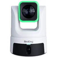 BIRDDOG  XL Ultra White