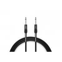 Pro-SPKR-3' | 