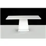 iDesk Plane White matt | 